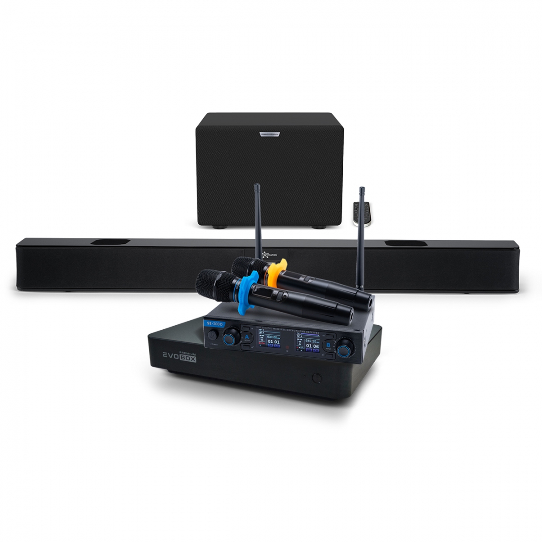 Hi-End караоке-система EVOBOX Premium + EvoSoundBar (саундбар с караоке) в Архангельской области