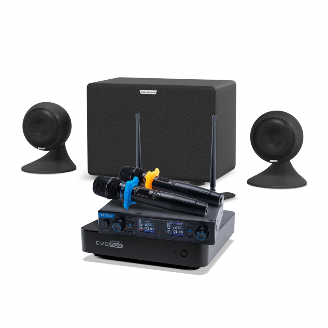 караоке-комплект EVOBOX + EvoSound Sphere 2.1 в Архангельской области