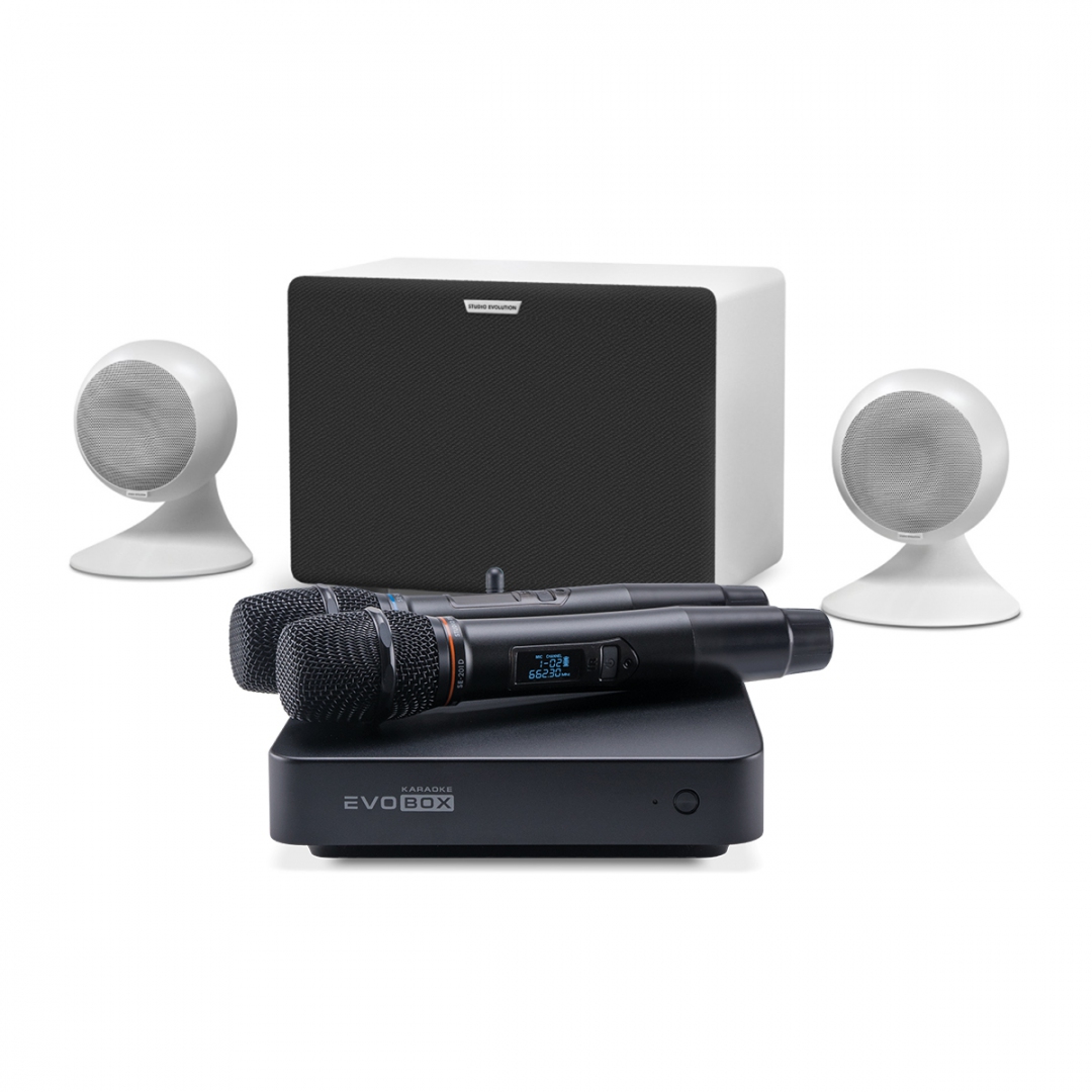караоке-комплект EVOBOX Classic + EvoSound Sphere 2.1 в Архангельской области