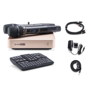 EVOBOX Classic караоке-система для дома в Архангельской области