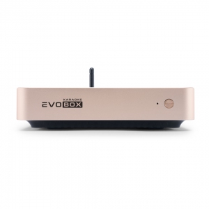 EVOBOX Plus караоке-система для дома в Архангельской области