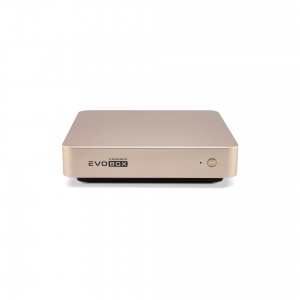 EVOBOX с микрофонами в Архангельской области
